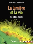 La lumière et la vie : une subtile alchimie