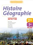 Histoire géographie bac pro 3 ans Nathan 2009