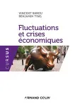 Fluctuations et crises économiques